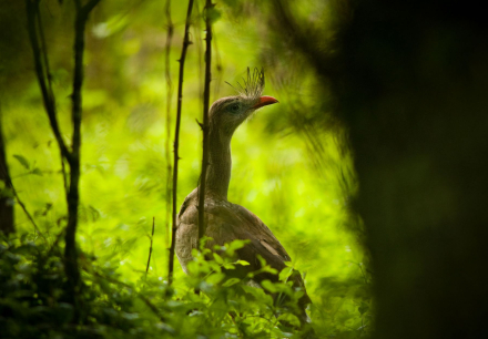 parque5.jpg