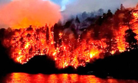 Nahuel Huapi 10.jpg