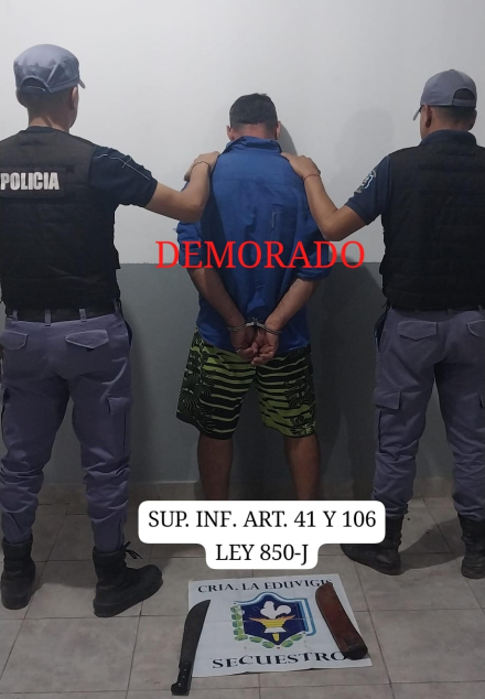 imagen.JPG