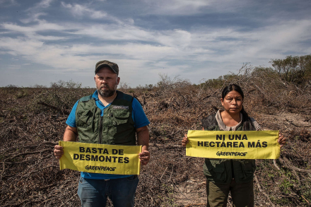 hernan giardini greenpeace.jpg