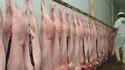 Cómo impactará la libre importación de alimentos en el mercado local