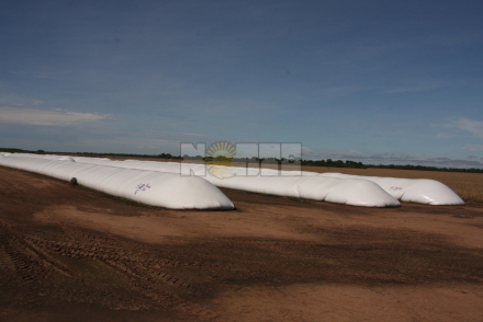 SILOS.JPG