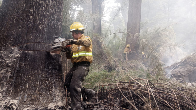 Un mes de incendio forestal al sur de Bariloche