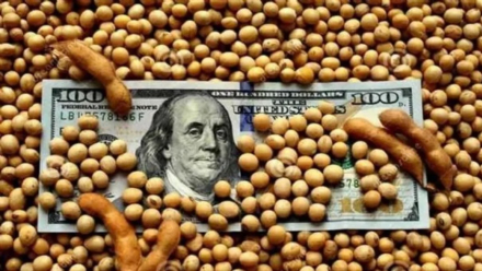 dolar-soja.jpg