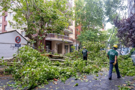 mar del plata temporal.jpg