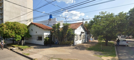 el perro.jpg