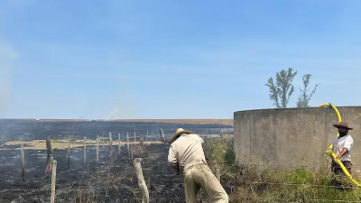 En Corrientes ya hay 250.000 hectáreas devoradas por el fuego