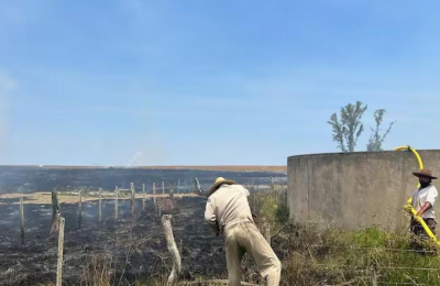 En Corrientes ya hay 250.000 hectáreas devoradas por el fuego