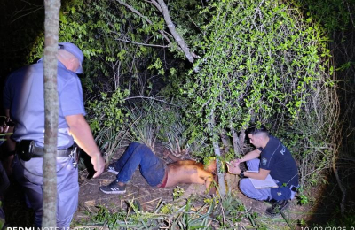 Un salteño herido en el monte, un auto, dólares y misterio