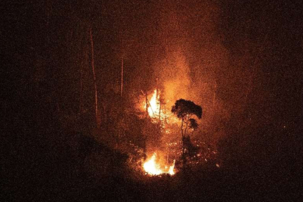 Incendios03.jpg