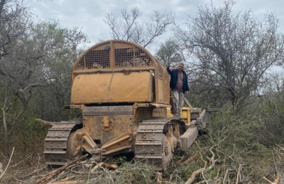Extienden por seis meses la cautelar que frena desmontes