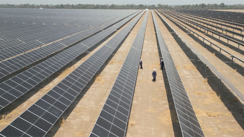Telecom refuerza su compromiso ambiental con energía solar suministrada por MSU Green Energy