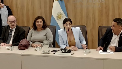 El Gobierno logró blindar a Milei en el Senado, pero ahora el foco vuelve a Diputados