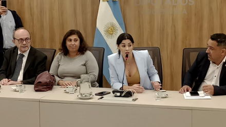 estafa diputados 02.jpg