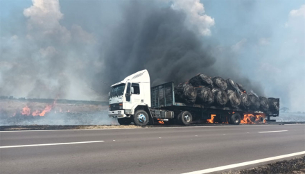 camion.jpg