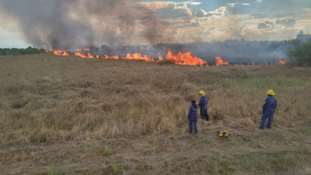 fire10.jpg
