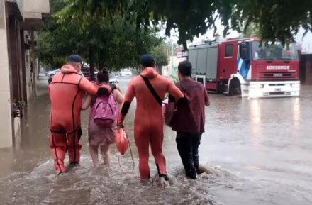Sin títulodfdfdfdfdf.jpg
