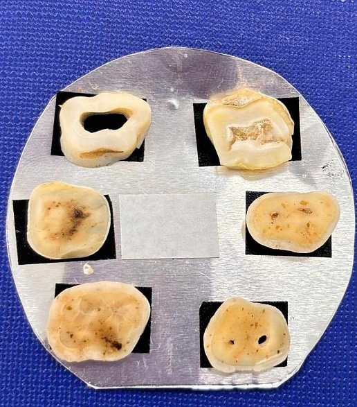 dental.jpg