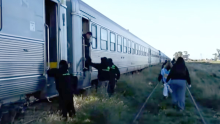 tren.jpg