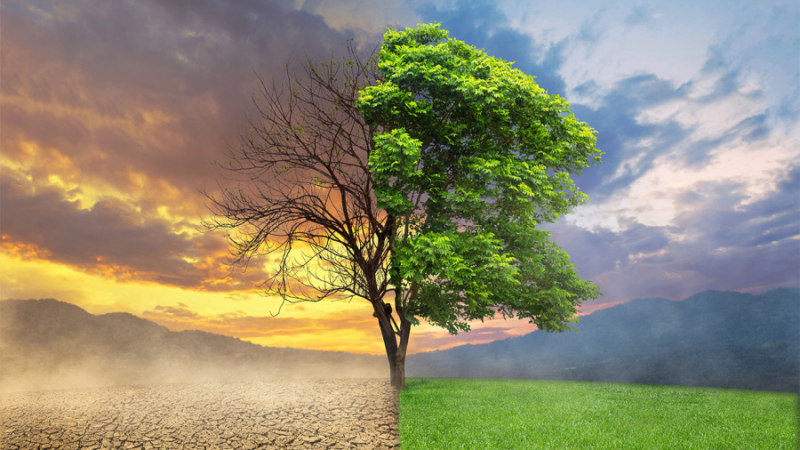 Día Mundial del Clima: ¿por qué se celebra el 26 de marzo?
