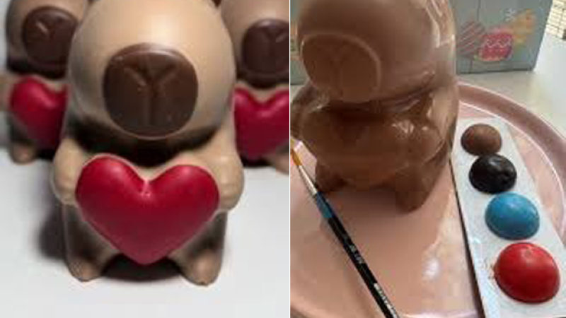 Los carpinchos de chocolate se echan en el centro de las pascuas