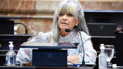 "El Senado dio una respuesta tardía pero saludable"