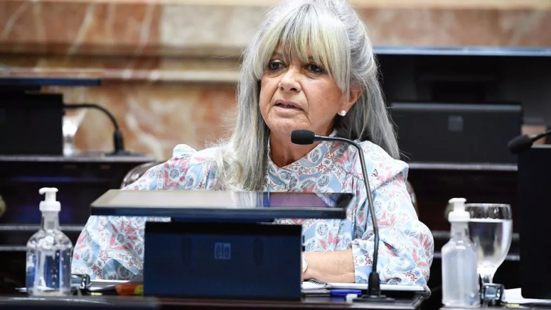 "El Senado dio una respuesta tardía pero saludable"