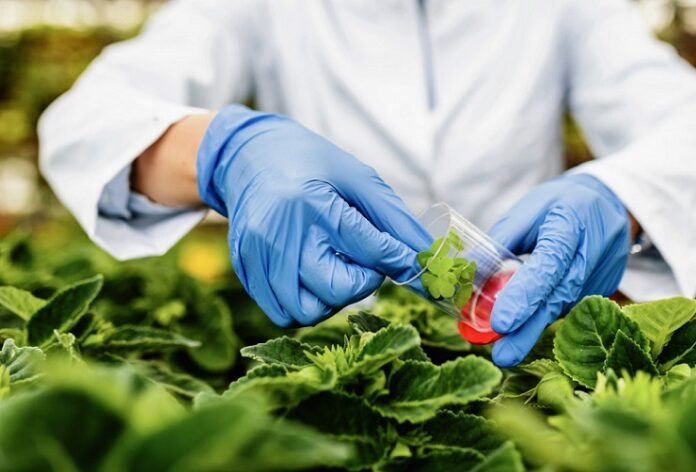 Biotecnologia-Agropecuaria-696x4.jpg
