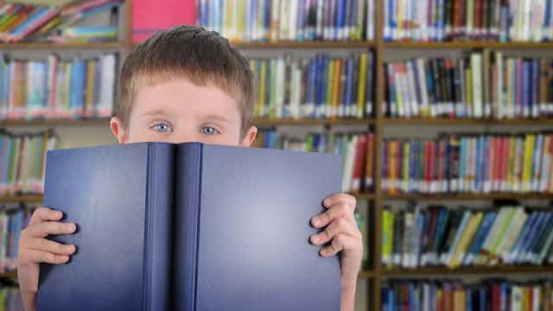 La escasez de libros en los hogares argentinos
