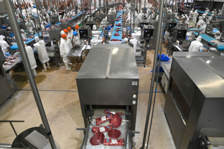 carne export.jpg