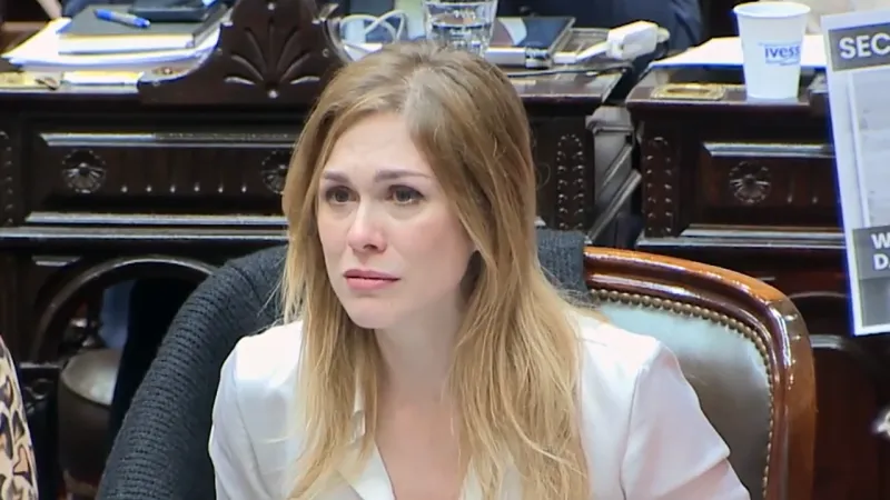Lilia Lemoine sobre el atentado contra Cristina Kirchner: "Fue armado por el albertismo"