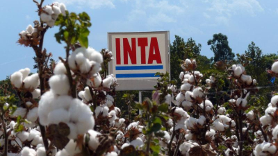 Piden a la Nación que dé marcha atrás con la idea de "desarmar" el INTA