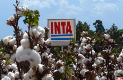Piden a la Nación que dé marcha atrás con la idea de "desarmar" el INTA