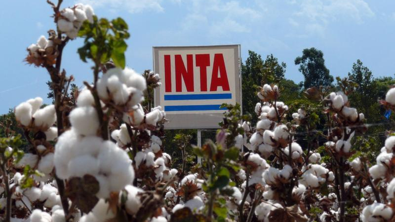 Piden a la Nación que dé marcha atrás con la idea de "desarmar" el INTA