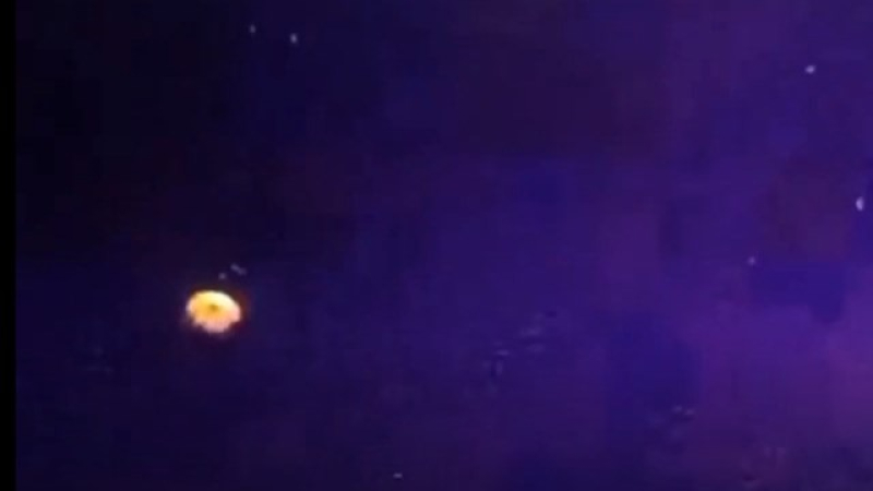 Impacto en el Chaco: un policía filmó un OVNI y dejó a todos sin respuestas