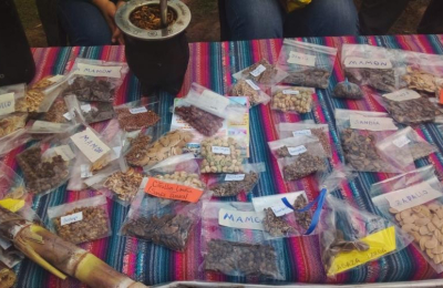 Todo listo para el intercambio de semillas nativas y criollas en San Martín