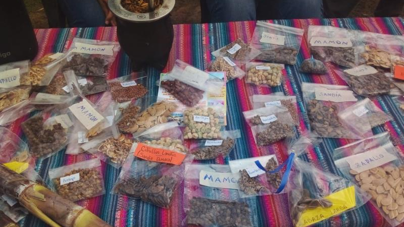 Todo listo para el intercambio de semillas nativas y criollas en San Martín