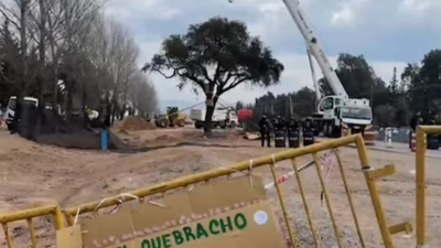 Incidentes por el traslado de un árbol de quebracho de casi 300 años
