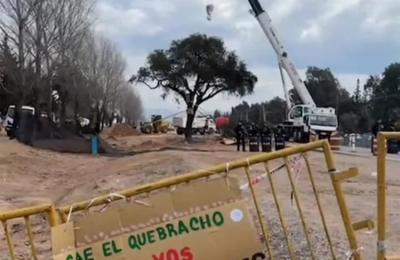Incidentes por el traslado de un árbol de quebracho de casi 300 años