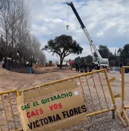 quebracho.jpg