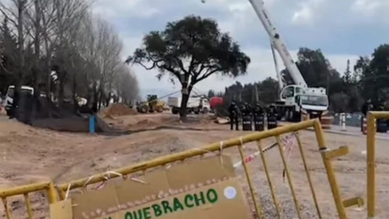 Incidentes por el traslado de un árbol de quebracho de casi 300 años