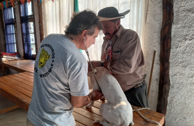 Veterinarios en alerta por charlas y consejos sin aval profesional