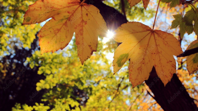 Semana ideal para estar afuera: sol y temperaturas moderadas en Resistencia