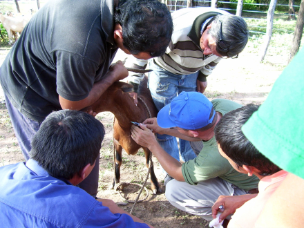 incupo3.jpg