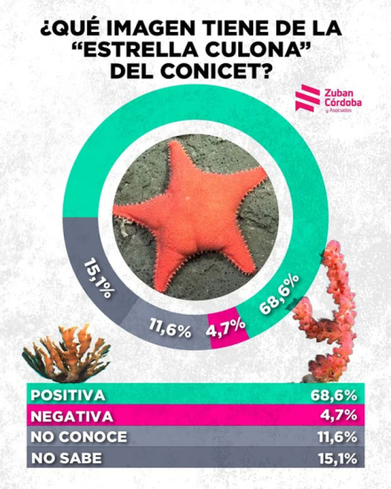 estrella2.jpg