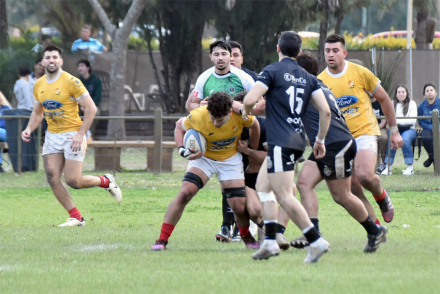 rugby.jpg
