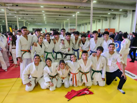 judo.jpg