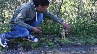 Leonel, el joven que con sus artesanías representa la fauna del monte chaqueño