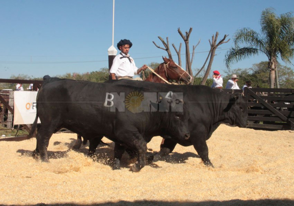 Foto: Fabian Maldonado.