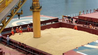 ¿Cuánto resta exportar el agro en 2025?